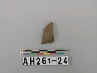 藏品(硬陶腹片)的圖片